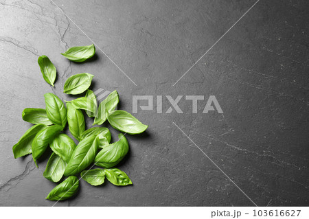 Fresh basil on grey table, flat lay. Space for text 103616627