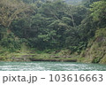 跡 林 森 103616663