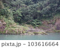 跡 林 森 103616664