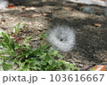 屋外 野外 アウトドア 103616667