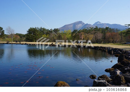 諸橋近代美術館の池 諸橋近代美術館の池 103616868