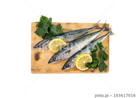 Raw mackerel fish isolated on white background Raw mackerel fish isolated on white background 103617016