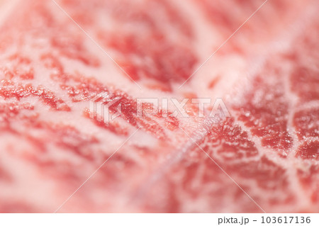 国産牛肉ミスジ(肩)ステーキ用 国産牛肉ミスジ(肩)ステーキ用 103617136