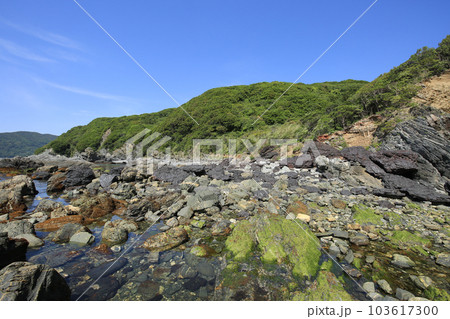 愛媛県伊方町　旧岬精錬所跡　海岸 103617300