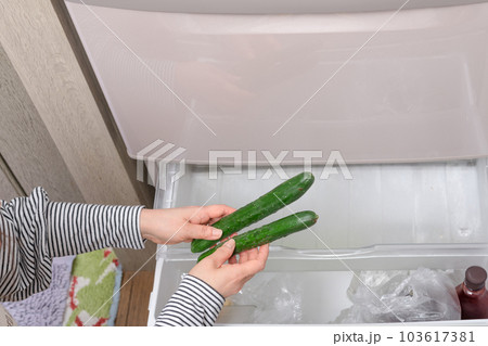 【野菜室からきゅうりを出す主婦】 【野菜室からきゅうりを出す主婦】 103617381