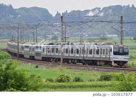 総武本線 佐倉ー物井 JR東日本 E217系 Y-20編成(鎌倉) 総武本線 佐倉ー物井 JR東日本 E217系 Y-20編成(鎌倉) 103617877