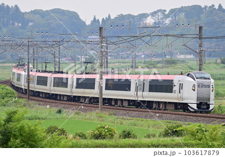 総武本線 佐倉ー物井 JR東日本 E259系 Ne001+Ne008編成(鎌倉) NEX 新塗色 総武本線 佐倉ー物井 JR東日本 E259系 Ne001+Ne008編成(鎌倉) NEX 新塗色 103617879