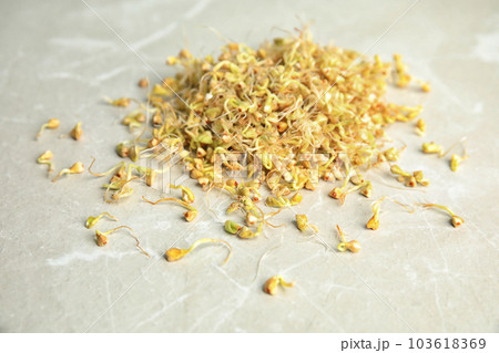 Heap of sprouted green buckwheat on light table, closeup Heap of sprouted green buckwheat on light table, closeup 103618369