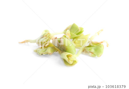 Sprouted green buckwheat grains isolated on white 103618379