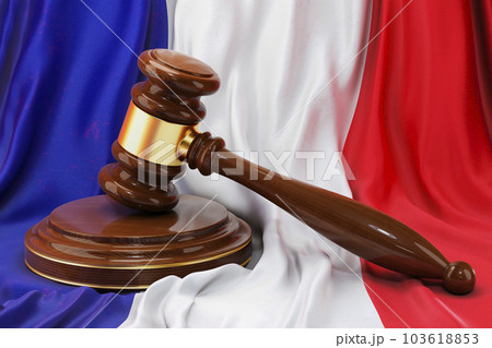 French law and justice concept. Wooden gavel on flag of France, 3D rendering 103618853