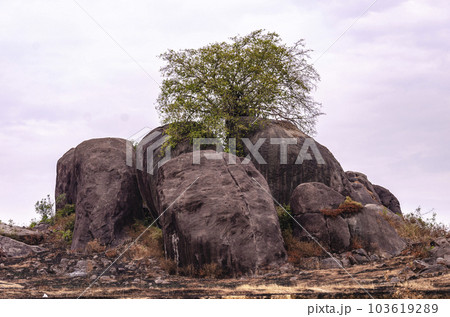 Survival under adverse conditions Survival under adverse conditions 103619289
