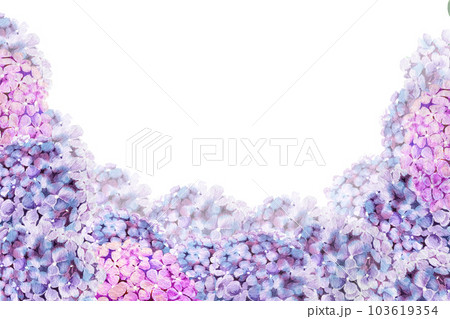 hydrangea flower watercolor illustration for frame and postcard. decorating ideas for invitation cards hydrangea flower watercolor illustration for frame and postcard. decorating ideas for invitation cards 103619354