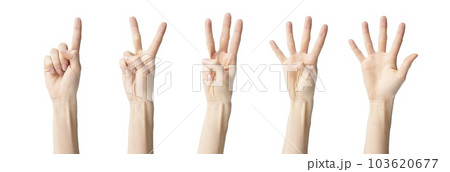 human hands showing numbers one to five 103620677