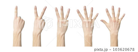 human hands showing numbers one to five 103620678