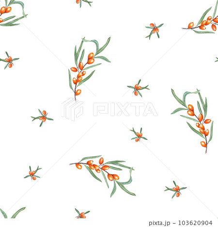 Watercolor seamless pattern of sea buckthorn branch isolated on white background. Botanical illustration with orange berries for room decor, print, postcards, textile design. 103620904