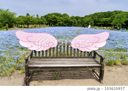 丘のある公園とネモフィラ　初夏のやくらい　宮城県加美町 103620957