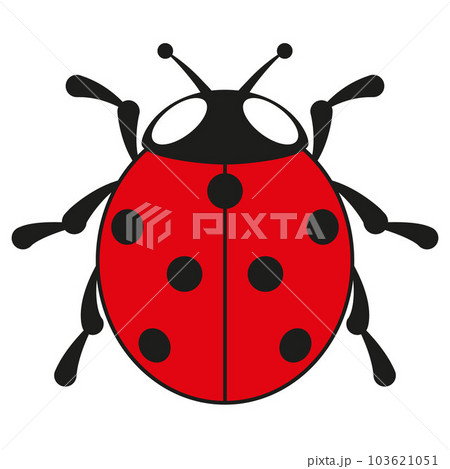 seven spot ladybird, color vector illustration of seven spotted ladybug, isolated on white seven spot ladybird, color vector illustration of seven spotted ladybug, isolated on white 103621051