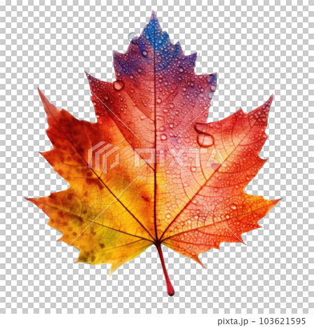 Autumn leaf isolated. Illustration AI Generative Autumn leaf isolated. Illustration AI Generative 103621595