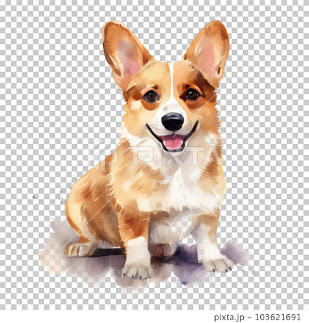 Cute corgi dog. Illustration AI Generative 103621691