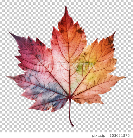 Autumn leaf isolated. Illustration AI Generative Autumn leaf isolated. Illustration AI Generative 103621876