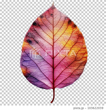 Autumn leaf isolated. Illustration AI Generative Autumn leaf isolated. Illustration AI Generative 103622039