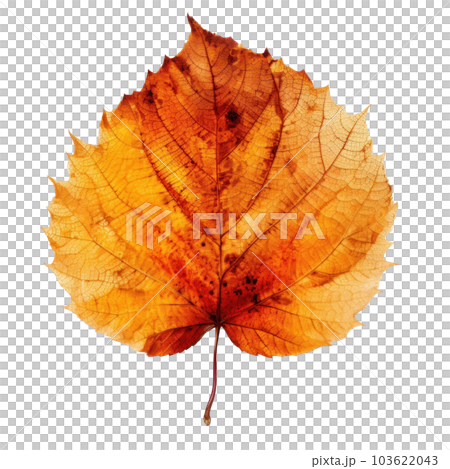 Autumn leaf isolated. Illustration AI Generative Autumn leaf isolated. Illustration AI Generative 103622043