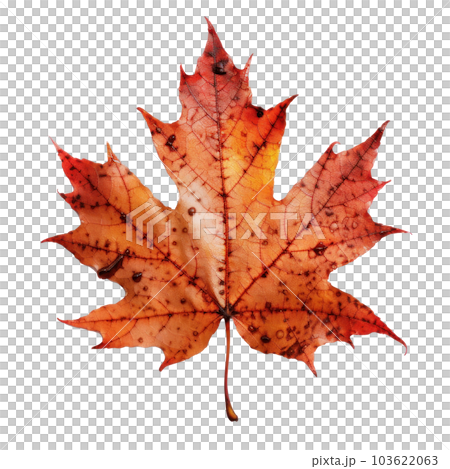 Autumn leaf isolated. Illustration AI Generative Autumn leaf isolated. Illustration AI Generative 103622063