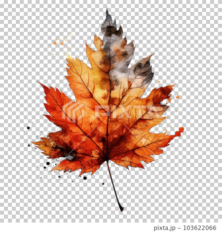 Autumn leaf isolated. Illustration AI Generative Autumn leaf isolated. Illustration AI Generative 103622066