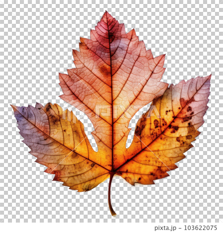 Autumn leaf isolated. Illustration AI Generative Autumn leaf isolated. Illustration AI Generative 103622075