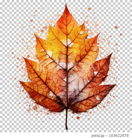 Autumn leaf isolated. Illustration AI Generative Autumn leaf isolated. Illustration AI Generative 103622078