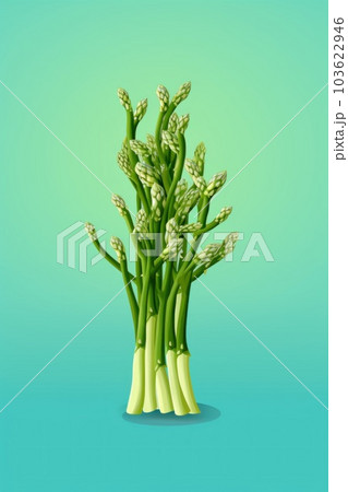 A bunch of asparagus on a blue background. Generative AI image. 103622946