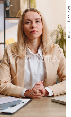 Businesswoman works on laptop at office talk on online communication video call with employee, boss 103624041