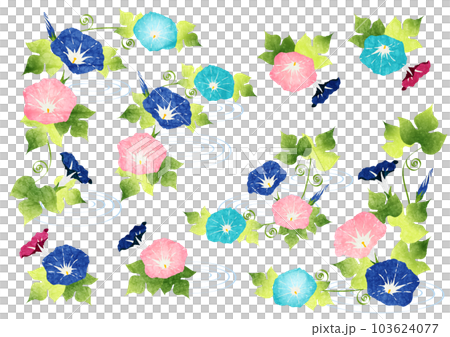 五顏六色的牽牛花框架集 103624077