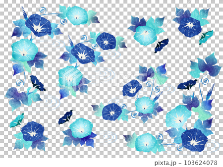 藍色牽牛花框架集 藍色牽牛花框架集 103624078