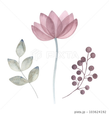 Watercolor transparent flowers leaves. Floral set in pastel purple, pink, blue, green colors. Hand drawn illustration isolated on white background. For design of wedding, postcard, patterns 103624192