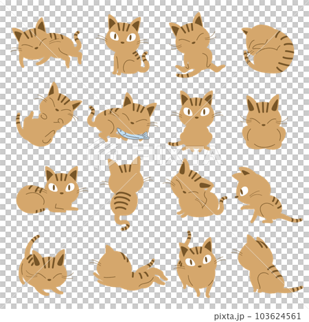 Vector illustration set of brown tabby Vector illustration set of brown tabby 103624561