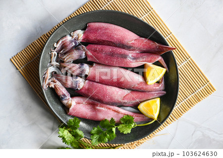 Raw squid on plate with salad spices lemon on wooden background, fresh squids octopus or cuttlefish for cooked food at restaurant or seafood market 103624630