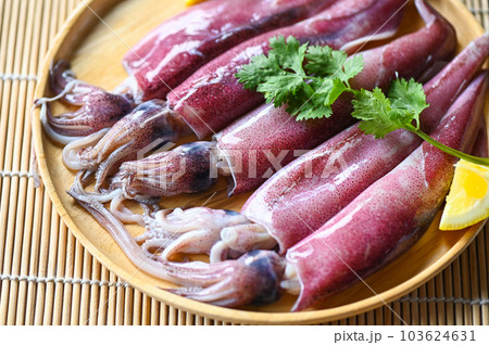 Raw squid on plate with salad spices lemon on wooden background, fresh squids octopus or cuttlefish for cooked food at restaurant or seafood market 103624631
