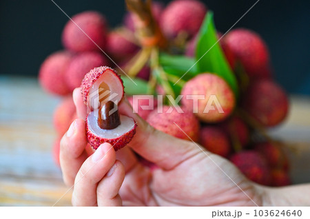fresh ripe lychee fruit tropical fruit peeled lychees slice in Thailand, lychees on hand 103624640