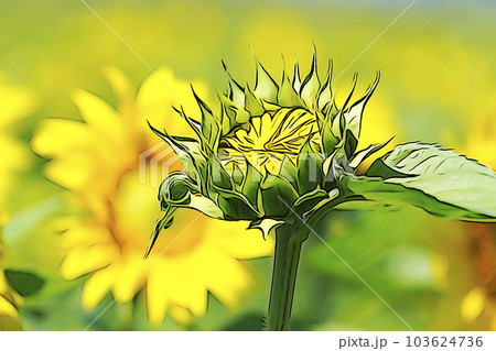 パステル調 ”日差しを受けたひまわりの花” イラストイメージ パステル調 ”日差しを受けたひまわりの花” イラストイメージ 103624736