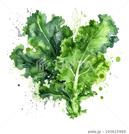 Fresh Organic Kale Vegetable Watercolor Square Background. Healthy Vegetarian Diet. Ai Generated, Drawn With Paint Splashes On White Background Delicious Juicy Kale Vegetable. 103625989