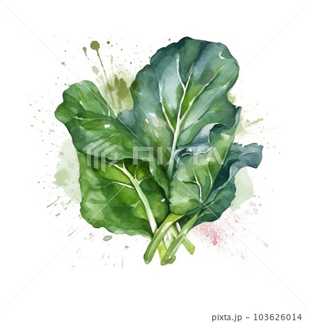 Fresh Organic Collard Greens Vegetable Watercolor Square Background. Healthy Vegetarian Diet. Ai Generated, Drawn With Paint Splashes On White Background Delicious Juicy Collard Greens Vegetable. 103626014