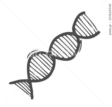 Doodle style genetic DNA double helix illustration in vector format suitable for web, print, or advertising use. 103626506