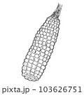 Hand drawn autumn corn doodle colorless illustrations. ?ute vector objects. Illustrations for poster, background or card. 103626751
