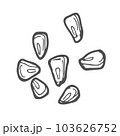 Corn seeds sketch. Outline vector icon. Corn concept 103626752