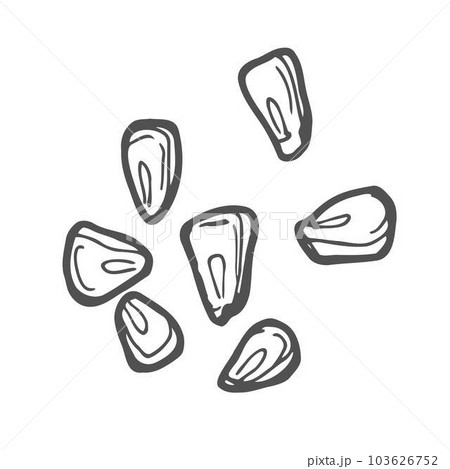 Corn seeds sketch. Outline vector icon. Corn concept 103626752