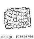 Doodle outline corn piece. Vector hand-drawn illustration for packing isolated on transparent background 103626766