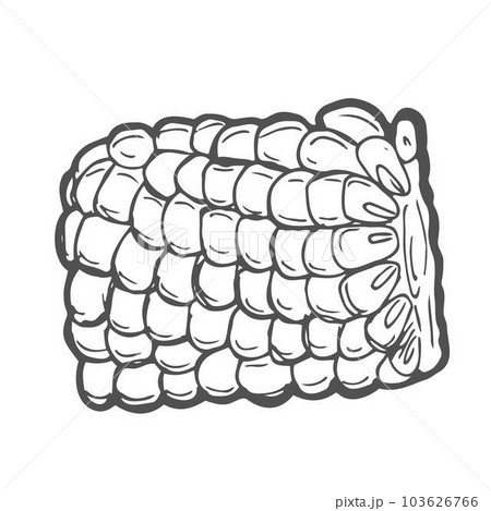 Doodle outline corn piece. Vector hand-drawn illustration for packing isolated on transparent background 103626766