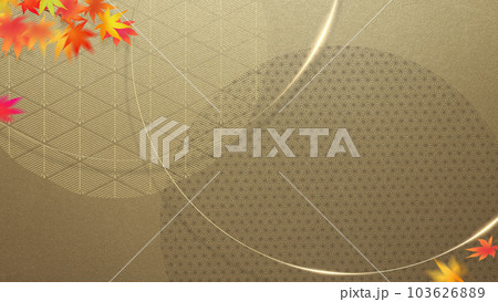 秋の和風素材 秋の和風素材 103626889