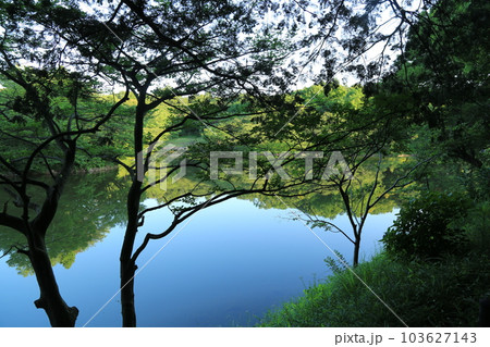 三ッ池公園を歩いた 三ッ池公園を歩いた 103627143